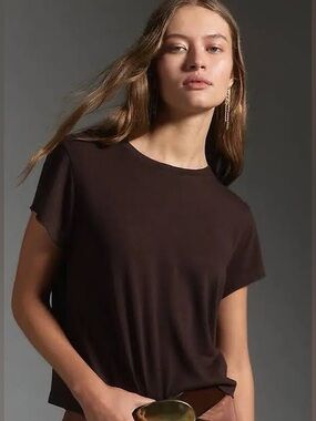 AGOLDE Adine shrunken tee chocolate brown